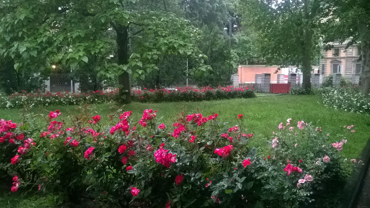 La giardineria milanese – giardiniere e progettazione giardini a milano Imprese giardinaggio milano